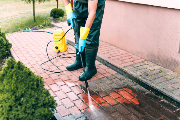 Best Roof Washing  in Hattiesburg, MS