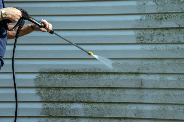 Best Residential Exterior Washing  in Hattiesburg, MS